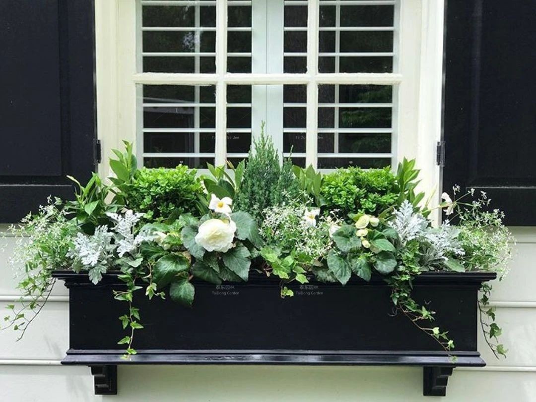 1675134392180475.jpg 窗臺(tái)花箱1.jpg