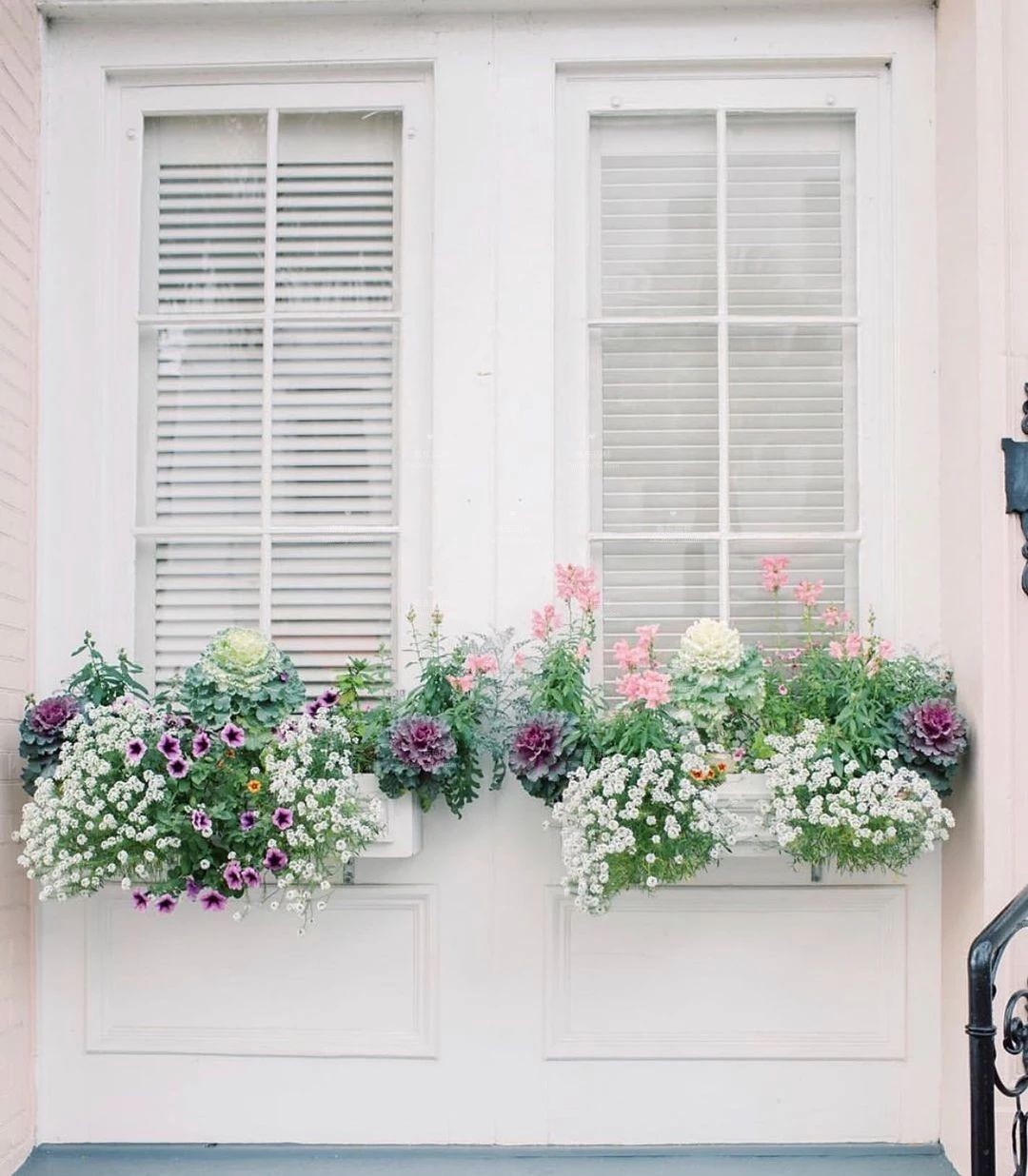 1675134421264589.jpg 窗臺(tái)花箱2.jpg