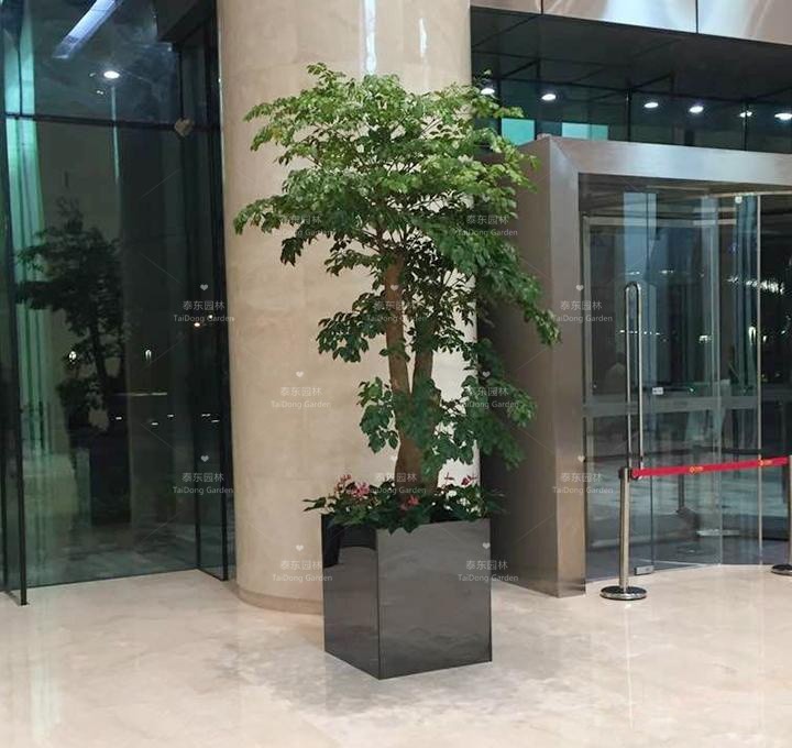 1676511561638220.jpg v2-65aaf04228db60e680ae58a7a105050f_r.jpg