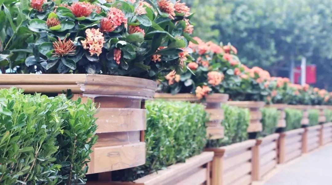 1676955209176434.jpg 1.jpg